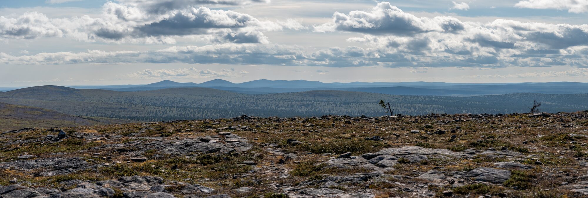Saariselkä
